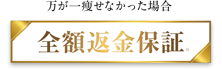 万が一痩せなかった場合 全額返金保証